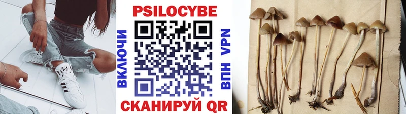 Галлюциногенные грибы ЛСД Звенигово